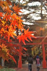 赤い鳥居