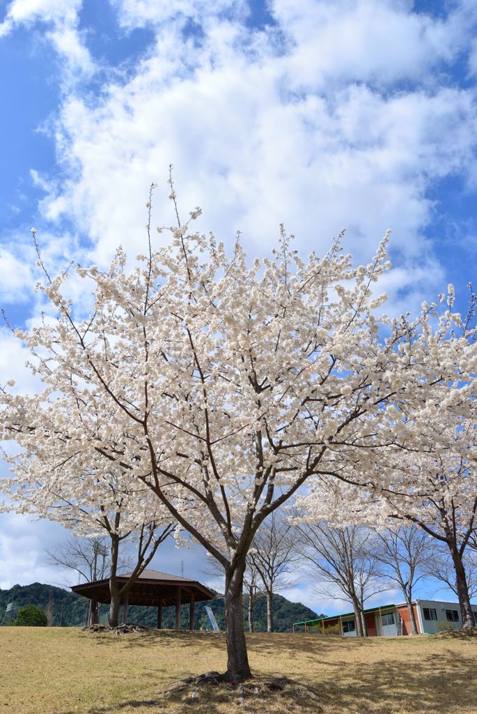 20110308_021
