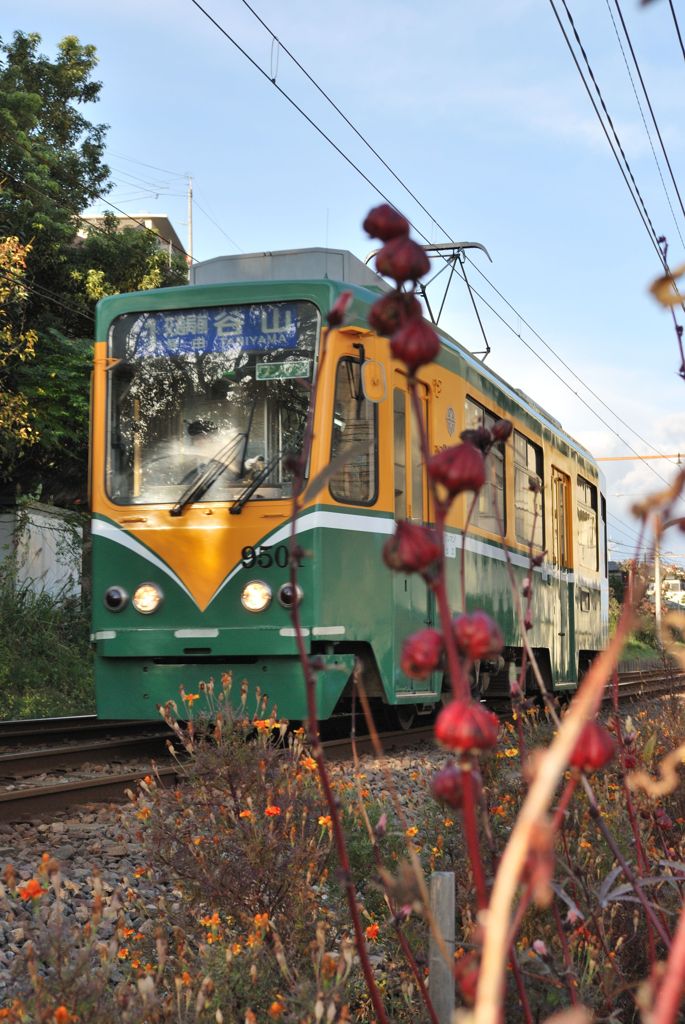 鹿児島市電９５００形
