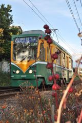 鹿児島市電９５００形
