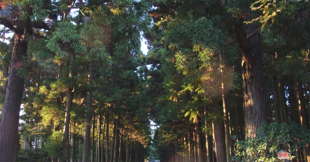松島・瑞巌寺参道