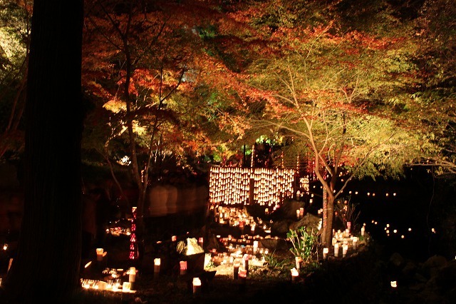 紅葉と竹あかり