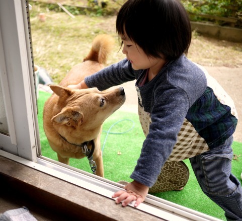 遊ぼうよ