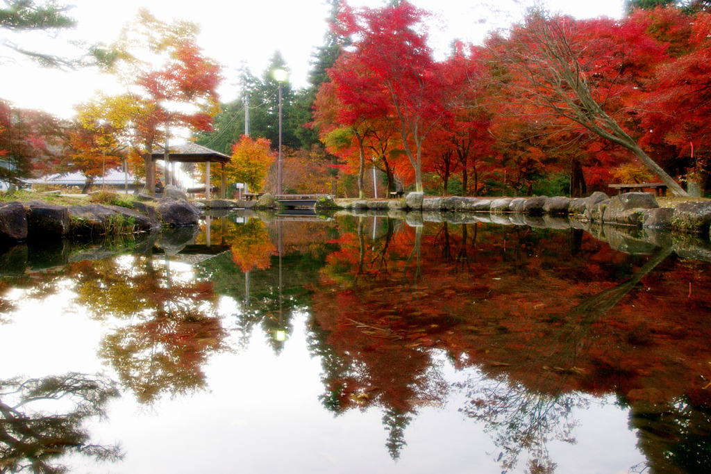 水辺の紅葉