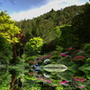 水面の景色