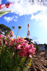 五台山の空