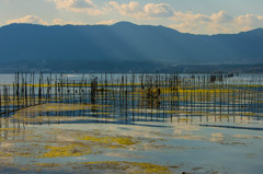 湖