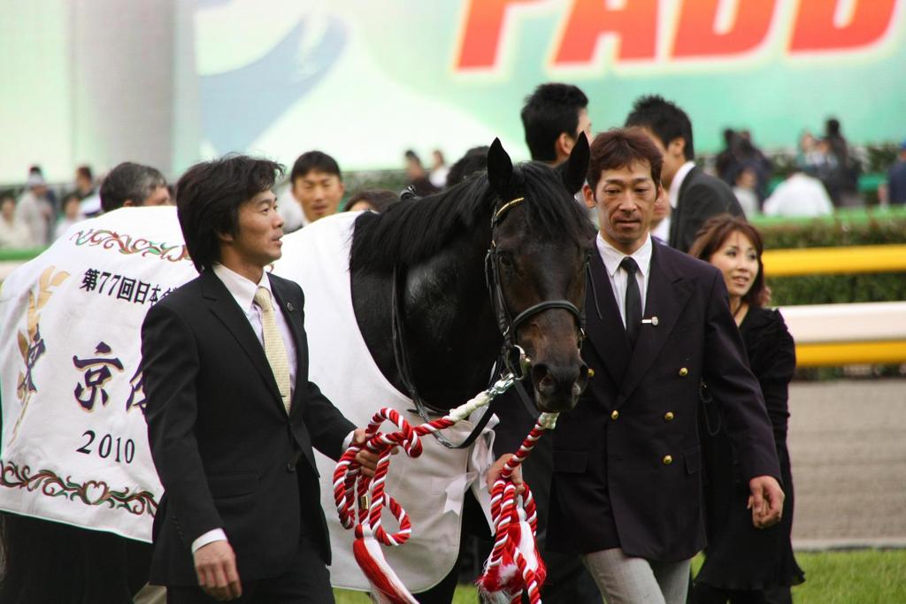 2010 ダービー馬
