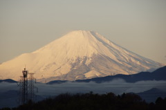 雲海と富士