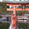 アケノトリイ