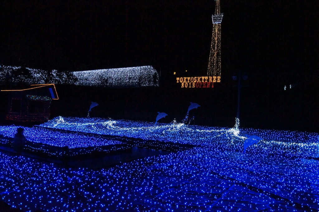 光る青海