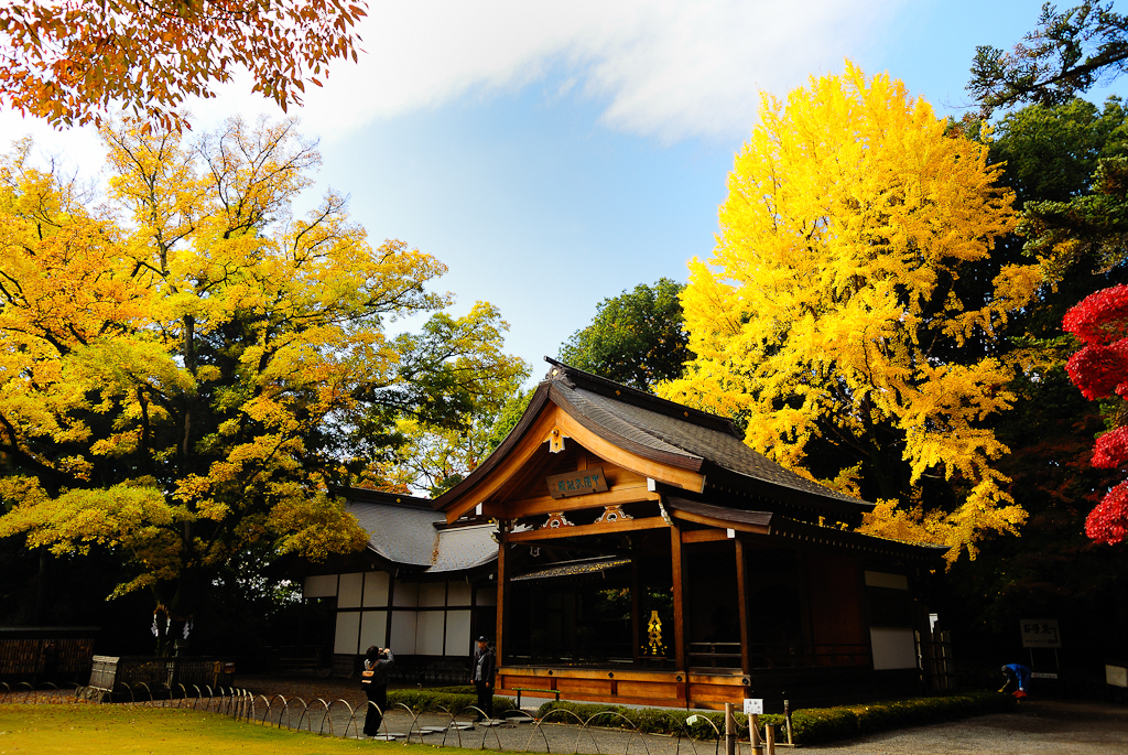 武田神社ひのき舞台