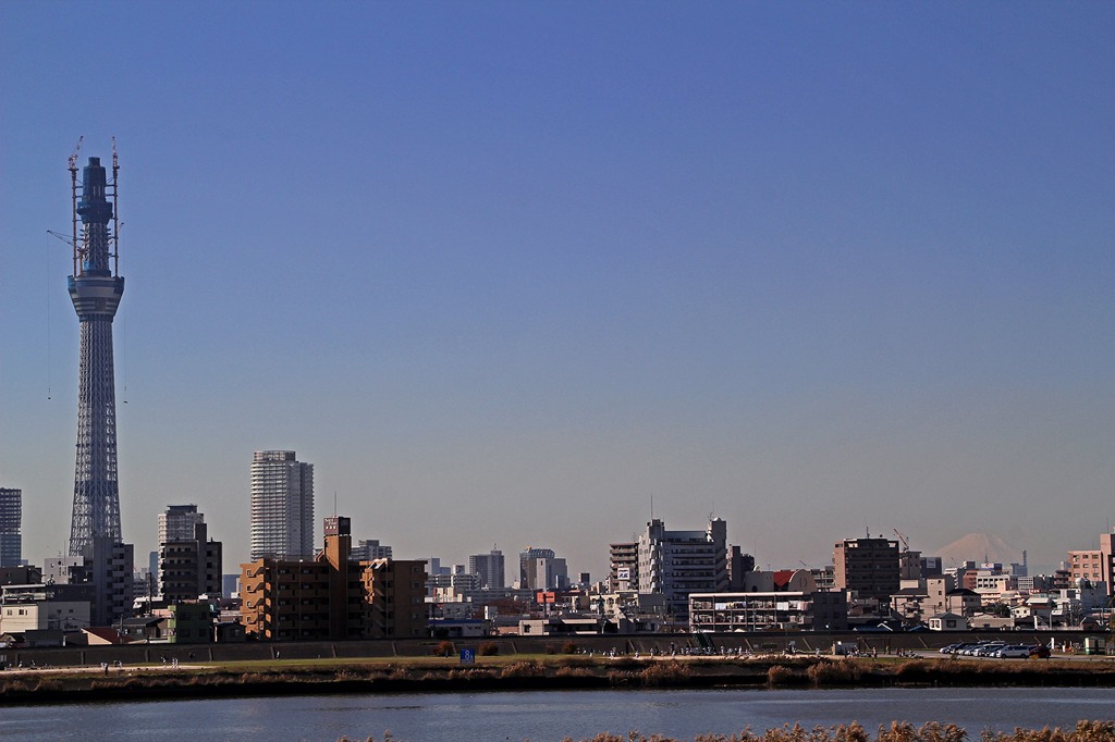 スカイツリーと富士山