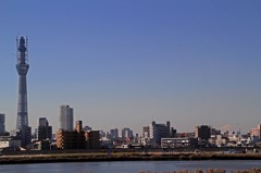 スカイツリーと富士山