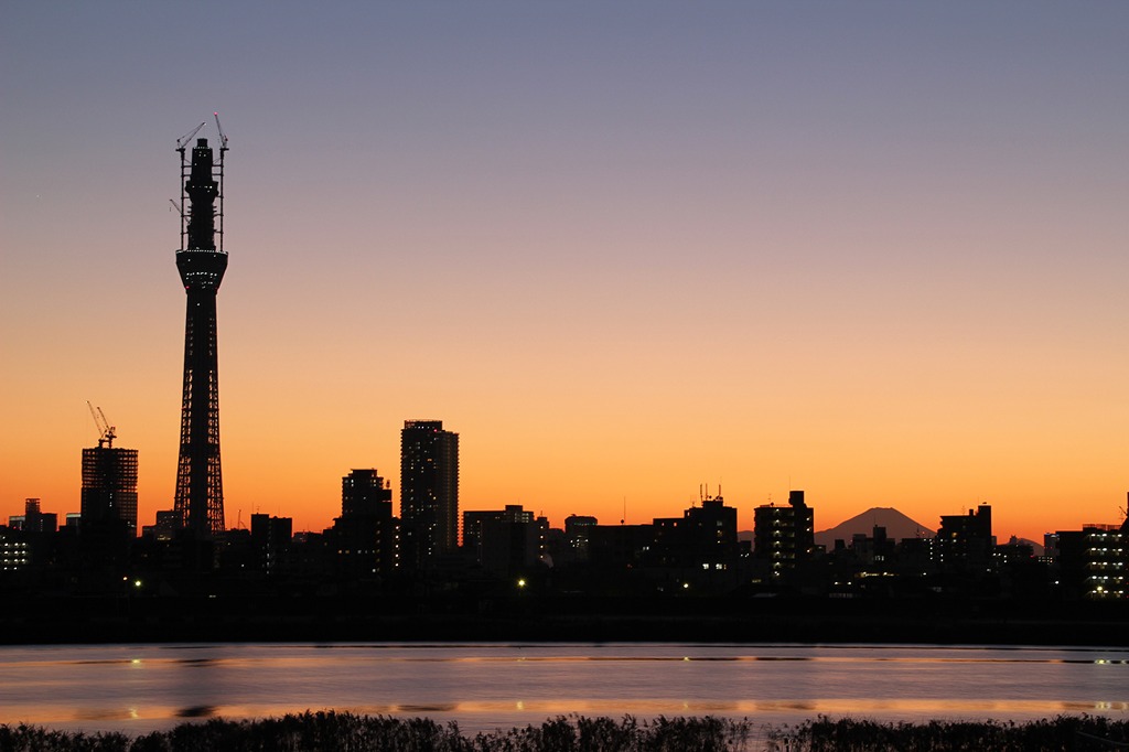 スカイツリーと富士山