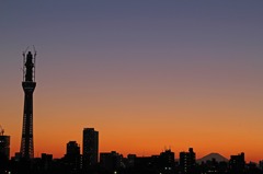 スカイツリーと富士山