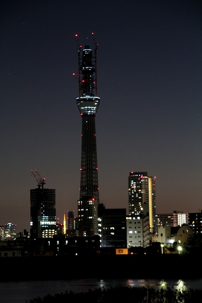 スカイツリーと東京タワー