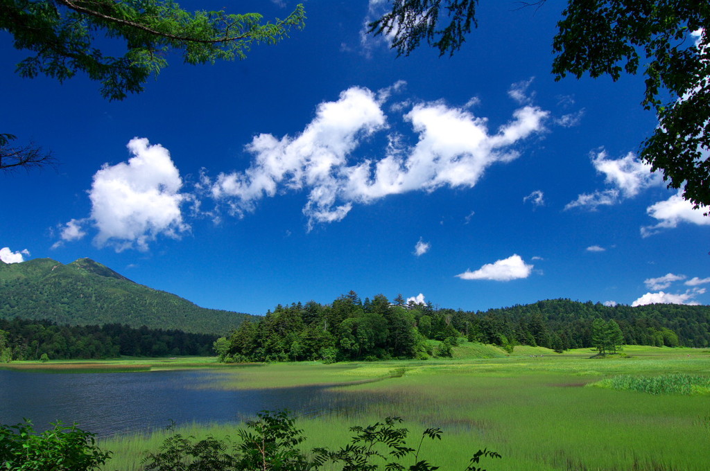 尾瀬沼