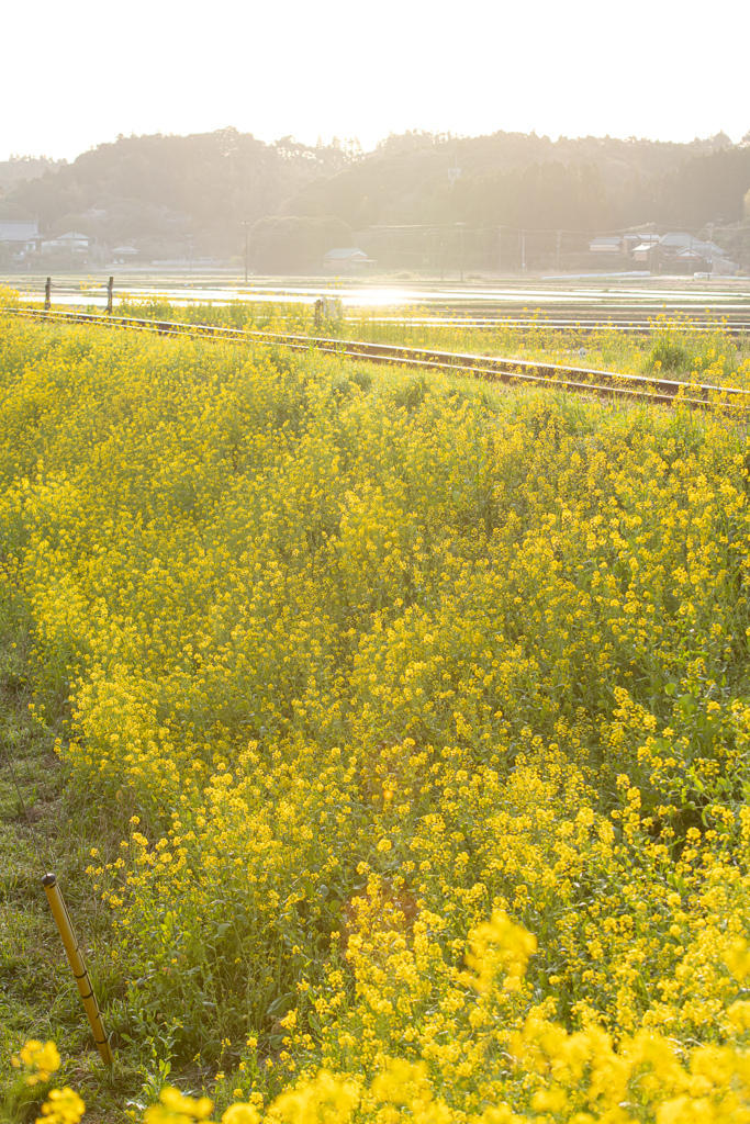 いすみ鉄道５