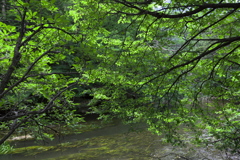 奥日光
