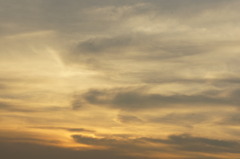 DSC00626