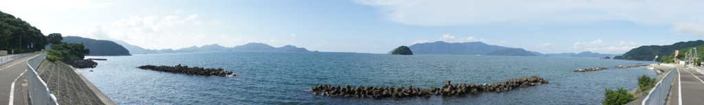DSC00313