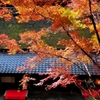 錦秋の京都　奥嵯峨鳥居本