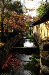 錦秋の京都　大覚寺