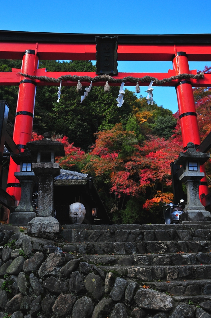 錦秋の京都　奥嵯峨鳥居本