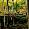 錦秋の京都　祇王寺