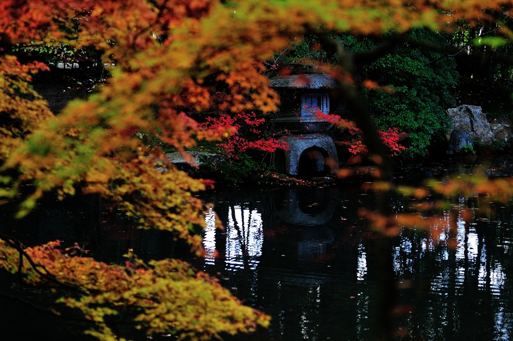 錦秋の京都　天授庵