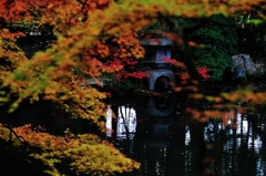 錦秋の京都　天授庵