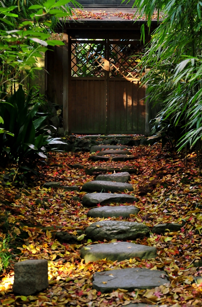 錦秋の京都　法然院