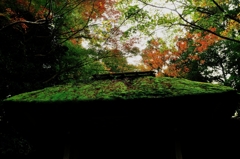 錦秋の京都　法然院
