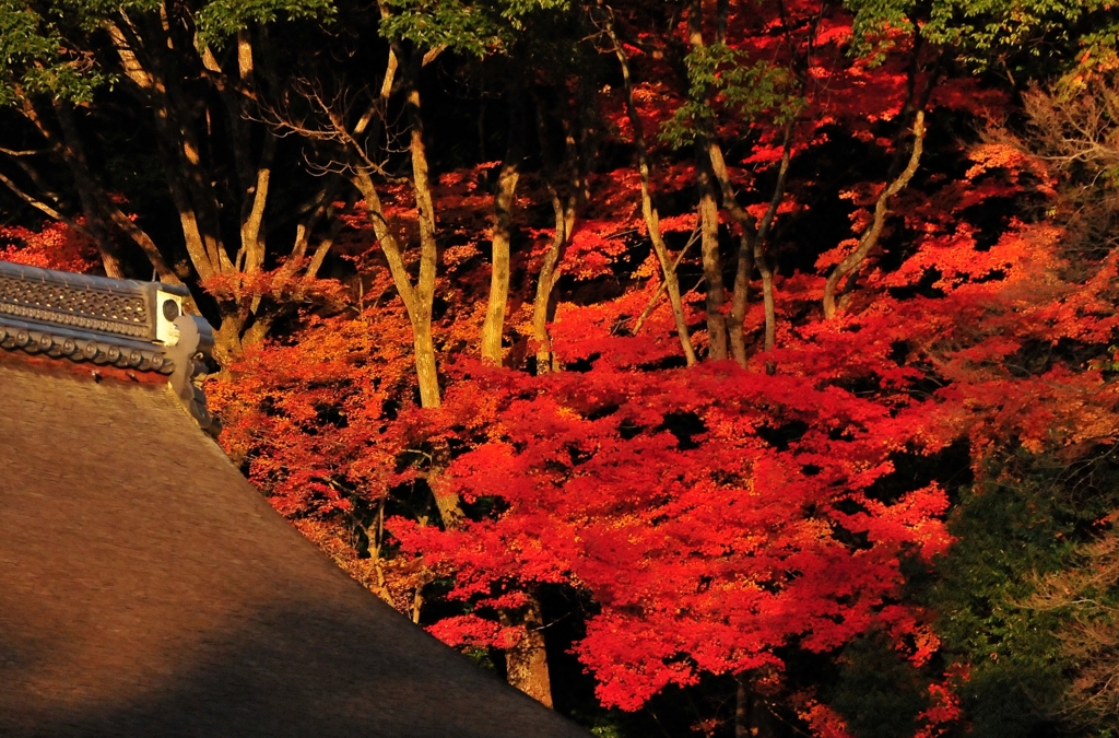 錦秋の京都　南禅寺