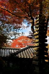 錦秋の京都　瑠璃光院