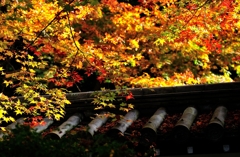 錦秋の京都　南禅寺