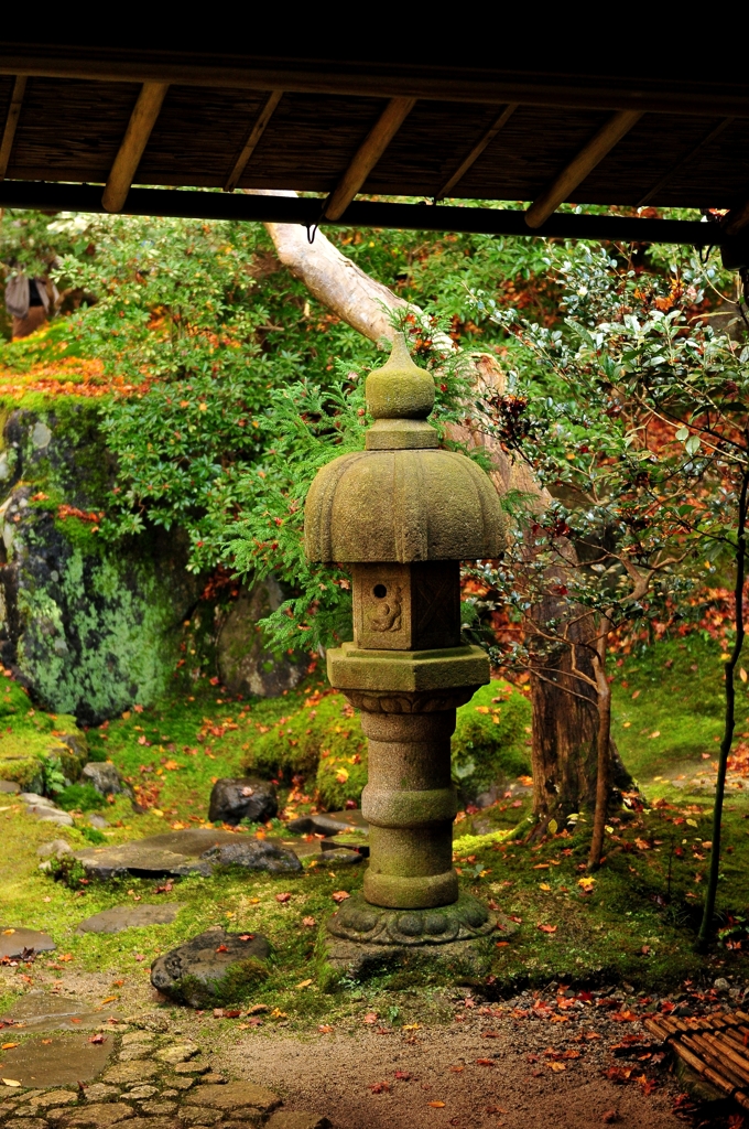 錦秋の京都　瑠璃光院