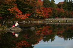 昭和記念公園の紅葉