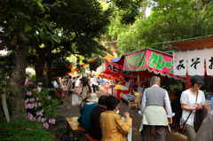 根津神社のつつじ祭り