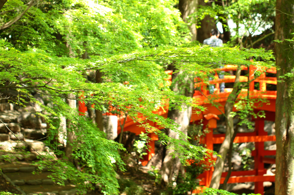 小石川後楽園