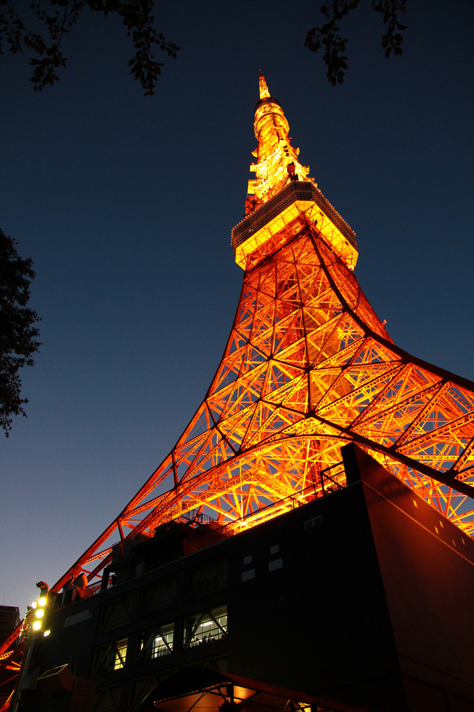東京タワーイルミネーション点灯式
