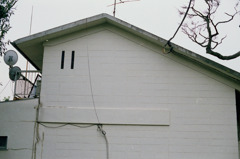 Numbers 11