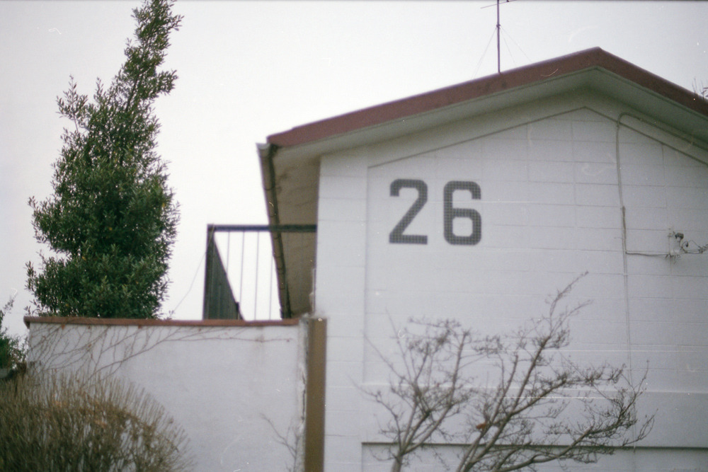 Numbers 26