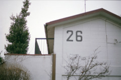 Numbers 26