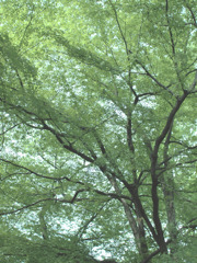 見守る