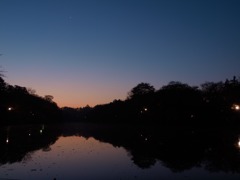 冬の夜明け