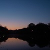 冬の夜明け