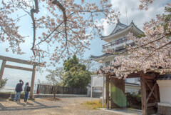 大野城 春うらら