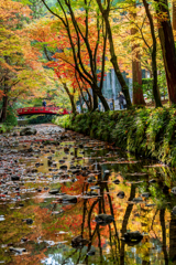 遠江國一宮 小國神社の紅葉風景